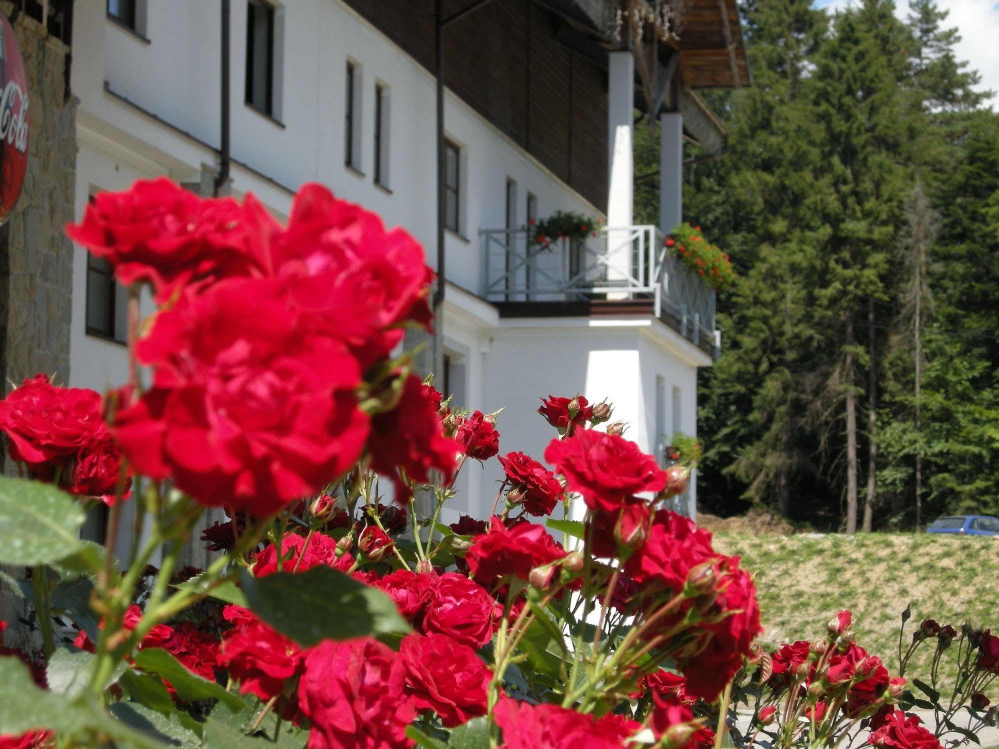 Hotel Jaworzyna Krynicka Krynica Zdroj Bagian luar foto
